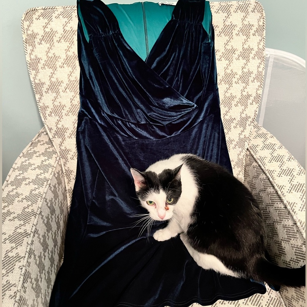 Green velvet dress